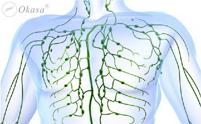 Cách massage để có bụng phẳng và phòng tránh bệnh tật