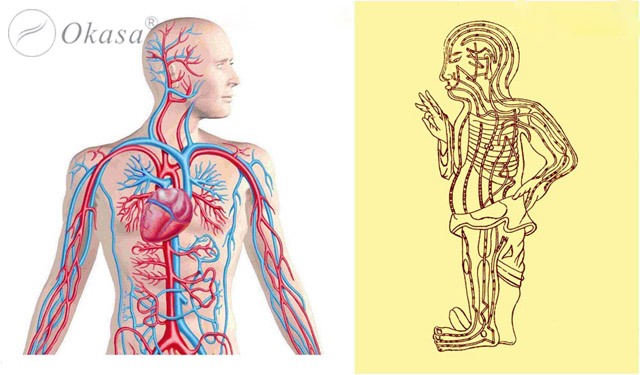 Cách người xưa tìm hiểu Kinh lạc và Bấm huyệt trị liệu