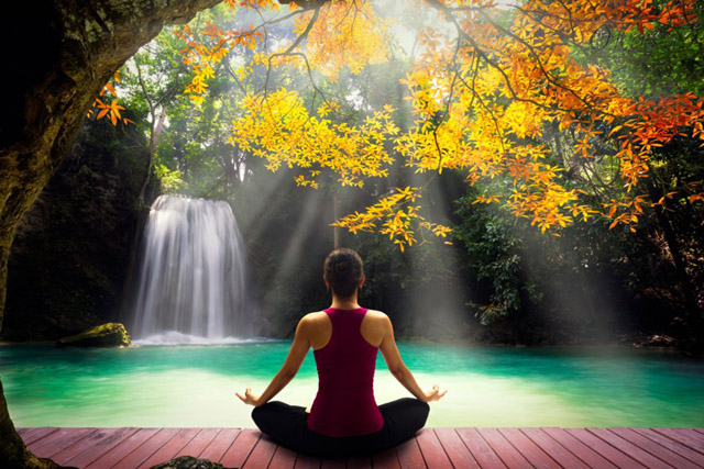 Cách sử dụng lực toàn thân trong massage và bấm huyệt