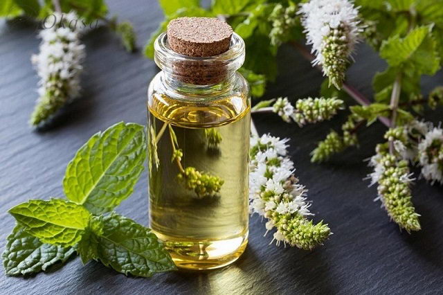 Cách sử dụng tinh dầu để đạt hiệu quả tối đa