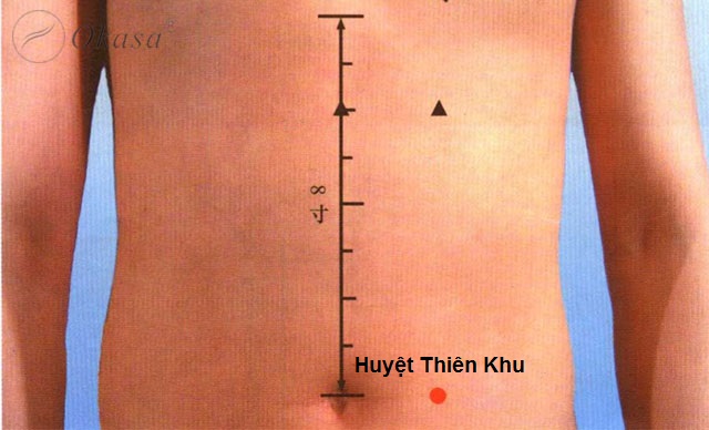 Cách xoa bóp bấm huyệt trị táo bón
