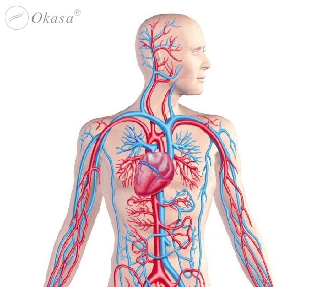 Cải thiện sức khỏe nhờ massage thường xuyên