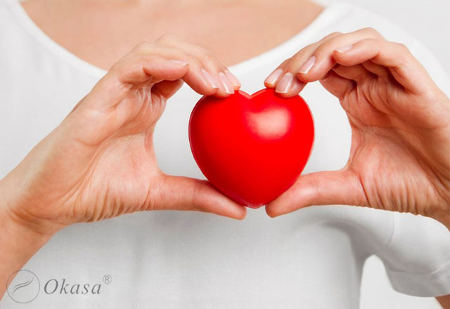 Cấu tạo của tim và tình trạng rung nhĩ