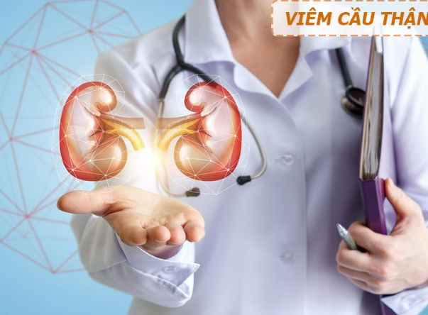 Cây cỏ xước có tác dụng chữa trị các bệnh về gan, thận