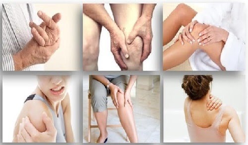 cây thuốc nam chữa bệnh đau nhức xương khớp