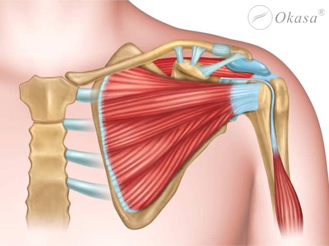 Chấn thương xương quai xanh và phương pháp điều trị