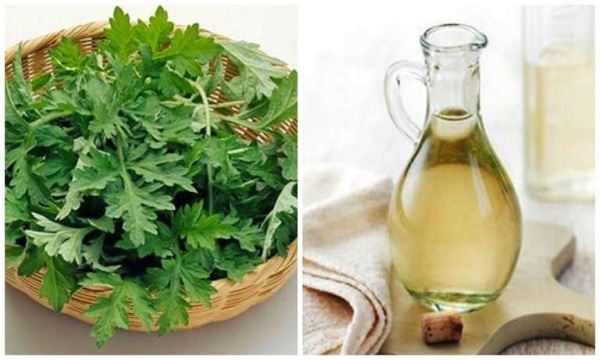 chữa đau lưng bằng ngải cứu