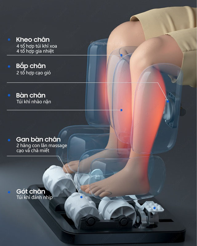 Con lăn ghế massage là gì? Cấu tạo, tác dụng và phân loại