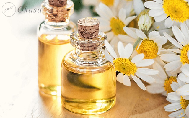 Công dụng của tinh dầu hoa cúc