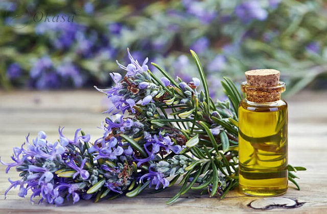 Công dụng giảm đau lưng của tinh dầu