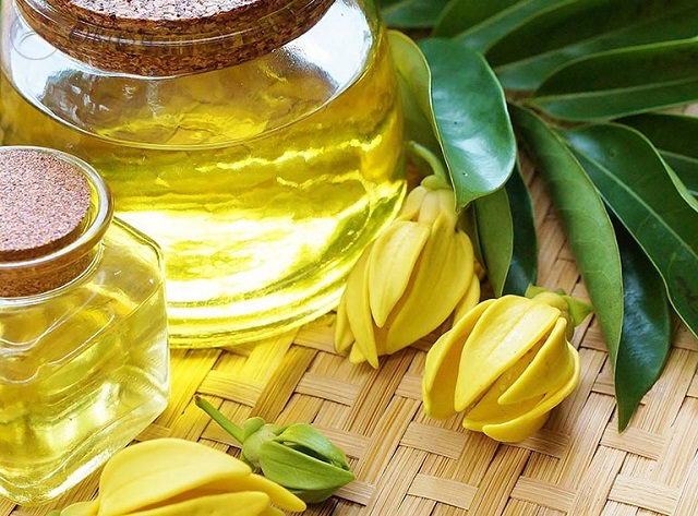 Công dụng của tinh dầu ngọc lan tây
