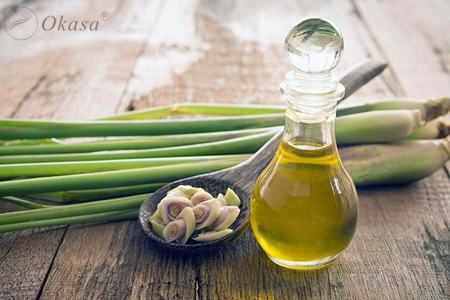 Công dụng và cách dùng tinh dầu sả java