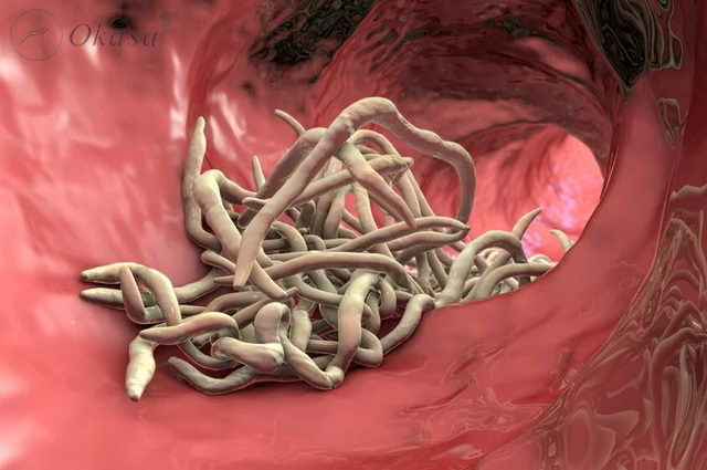 Công dụng và cách dùng tinh dầu sả java