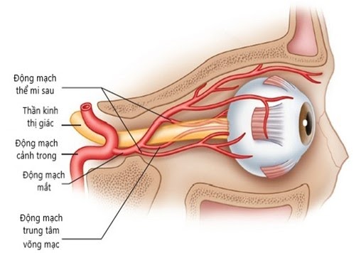 đau đầu 2 bên thái dương có nguy hiểm không