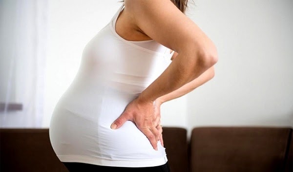 dấu hiệu rụng trứng đau lưng do mang thai