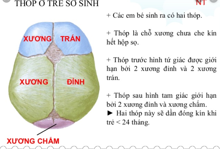 đầu trẻ sơ sinh bị lõm phía sau phải làm sao