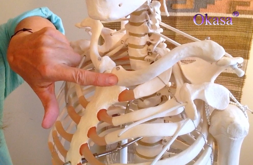 đau xương quai xanh