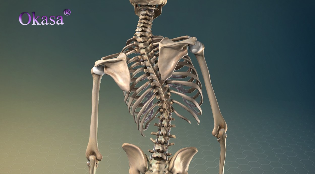 điều trị cong vẹo cột sống bẩm sinh