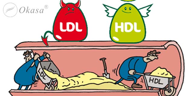 Giảm cholesterol để cơ thể khỏe mạnh hơn