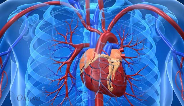 Hiểu về bệnh cao huyết áp nguyên phát