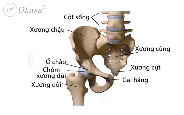 Hiểu về tình trạng tổn thương xương cụt