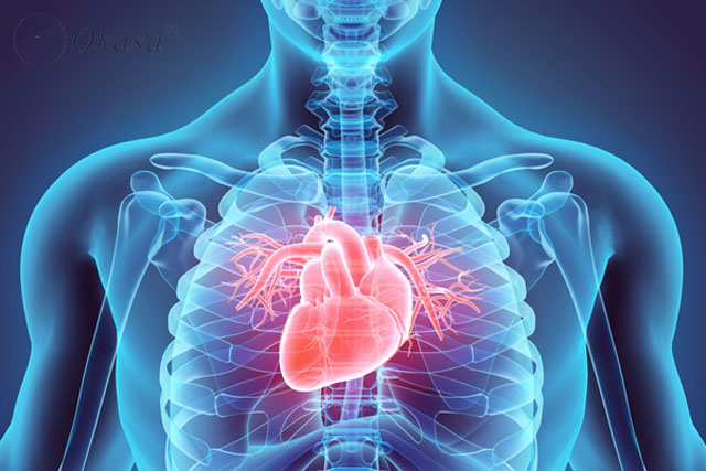 Họat động thể chất đúng cách cho người bị bệnh tim mạch
