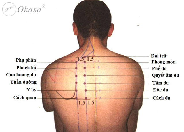 Huyệt Đại Trữ