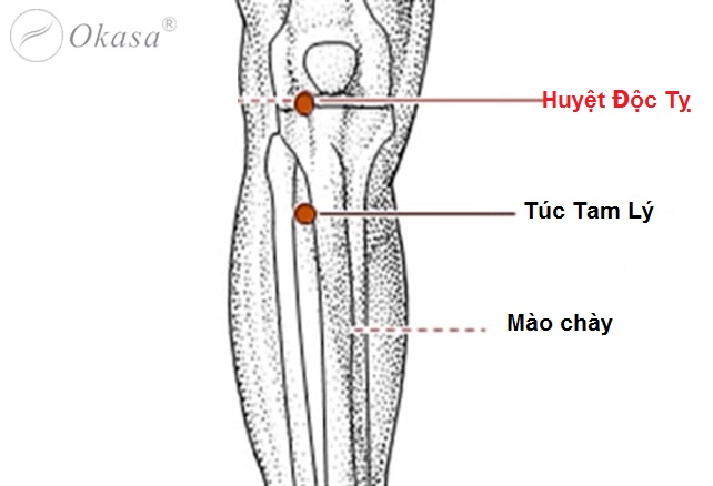 Huyệt Độc Tỵ