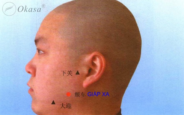 Huyệt Giáp Xa
