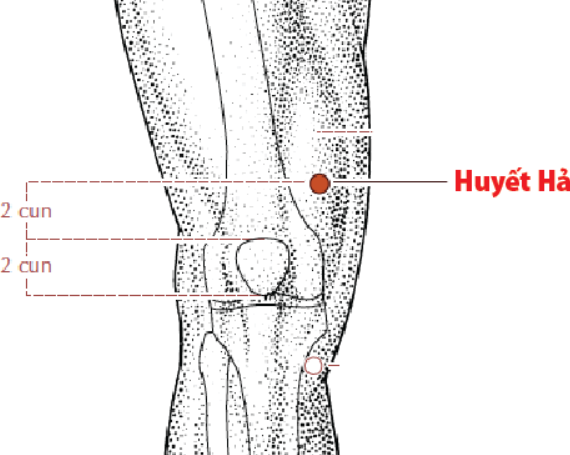 huyệt huyết hải