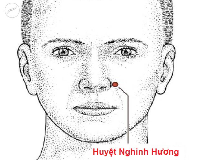 Huyệt Nghinh Hương
