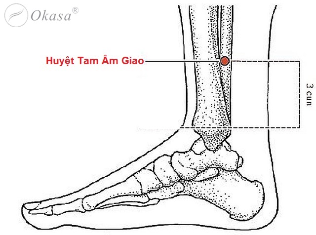 Liệu pháp massage xoa bóp giúp trị chứng mất ngủ