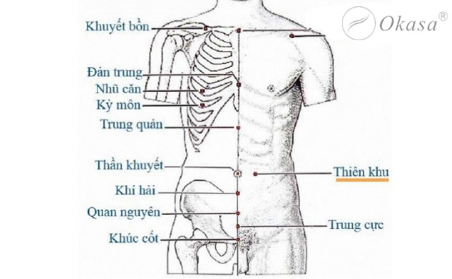 Huyệt Thiên Khu