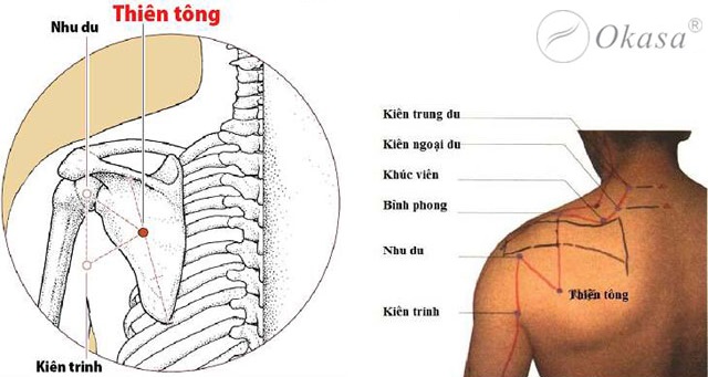Huyệt Thiên Tông