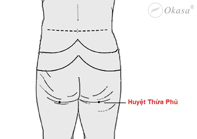 Huyệt Thừa Phù