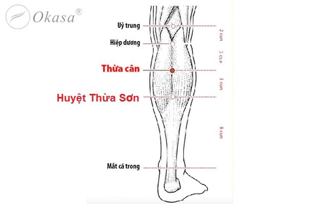 Huyệt Thừa Sơn