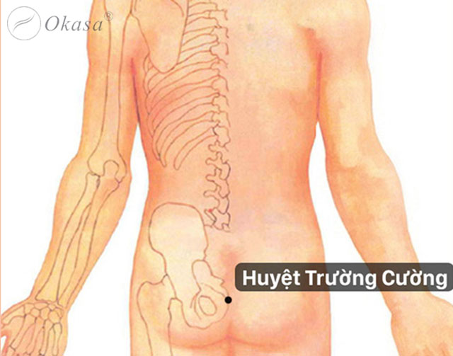 Huyệt trường cường