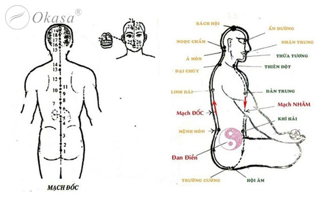 Huyệt trường cường