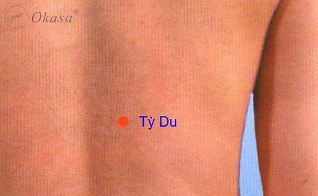 Huyệt Tỳ Du