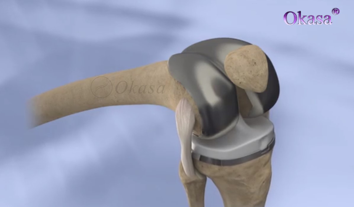 khớp gối ở người