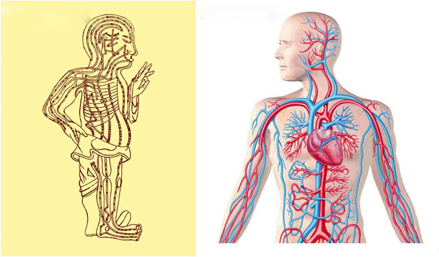 Kĩ thuật bấm huyệt cơ bản