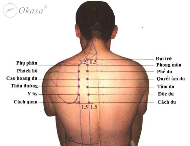 Kĩ thuật bấm huyệt cơ bản
