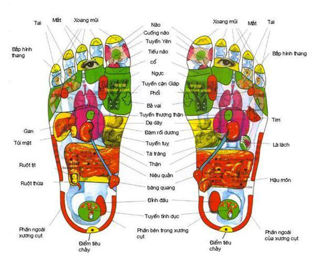 Lịch sử & quá trình phát triển của phản xạ liệu pháp