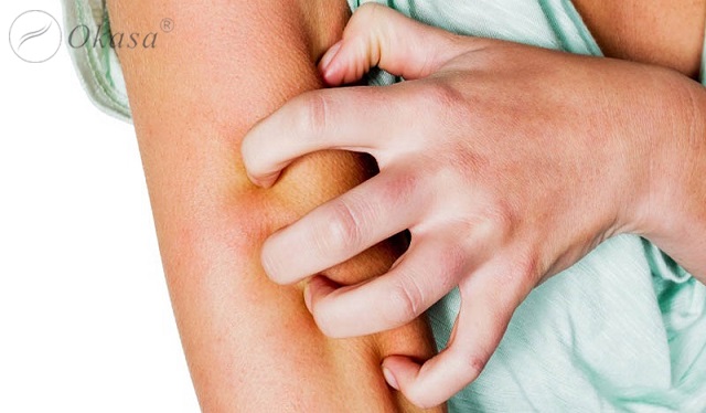 Tinh dầu húng quế không chỉ là gia vị