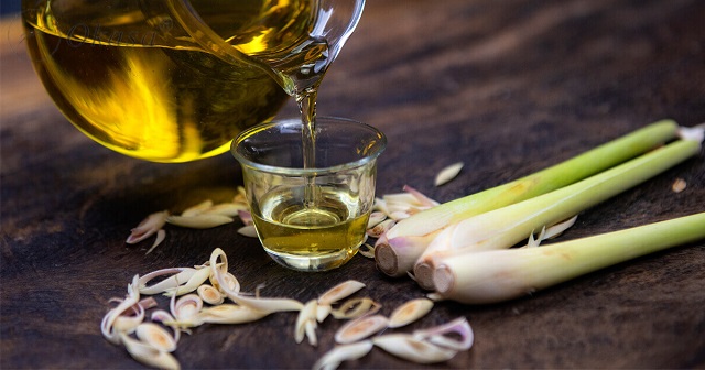 Lợi ích của tinh dầu sả chanh, cách làm