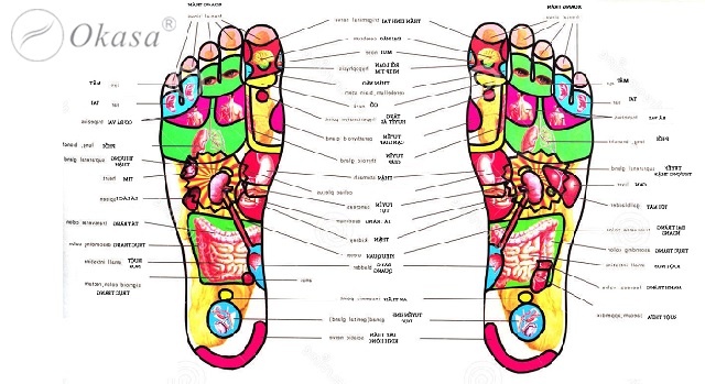Massage chân vào mỗi tối mùa đông rất tốt cho sức khỏe