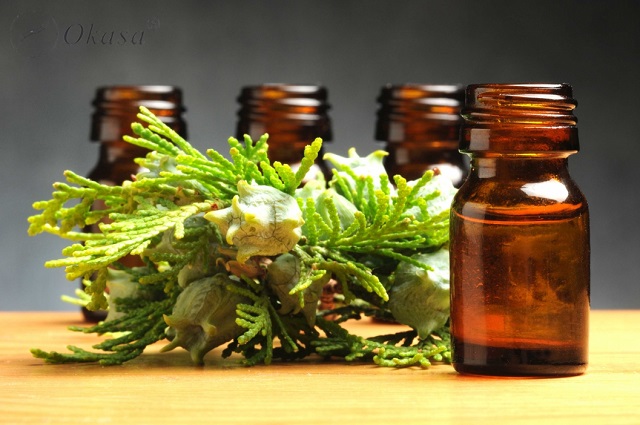 Công dụng và lợi ích của tinh dầu hoàng đàn