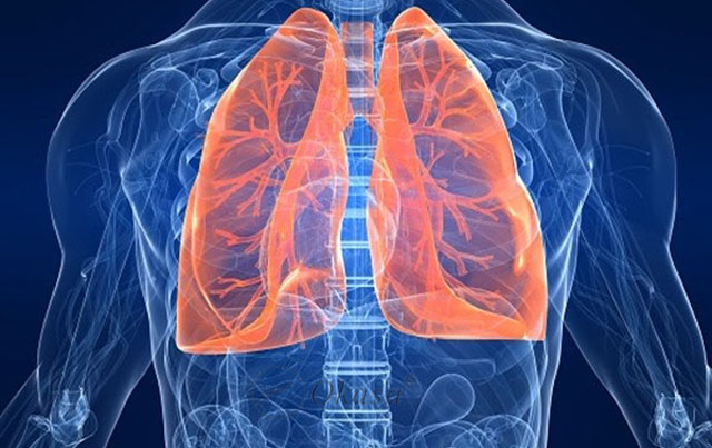 Massage – giải pháp thải độc cho cơ thể