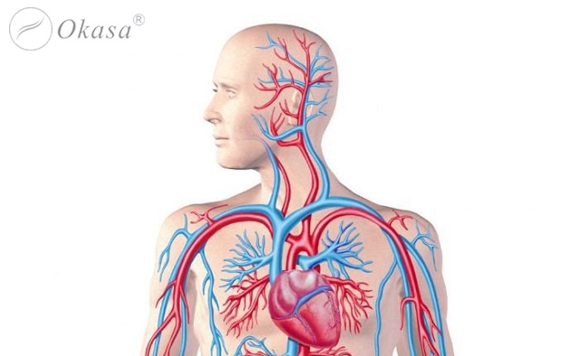 Massage Nuad Thai và những lợi ích cho sức khỏe