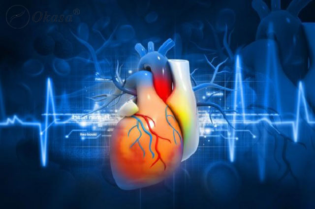Mối liên hệ giữa chất điện giải với chức năng của tim mạch